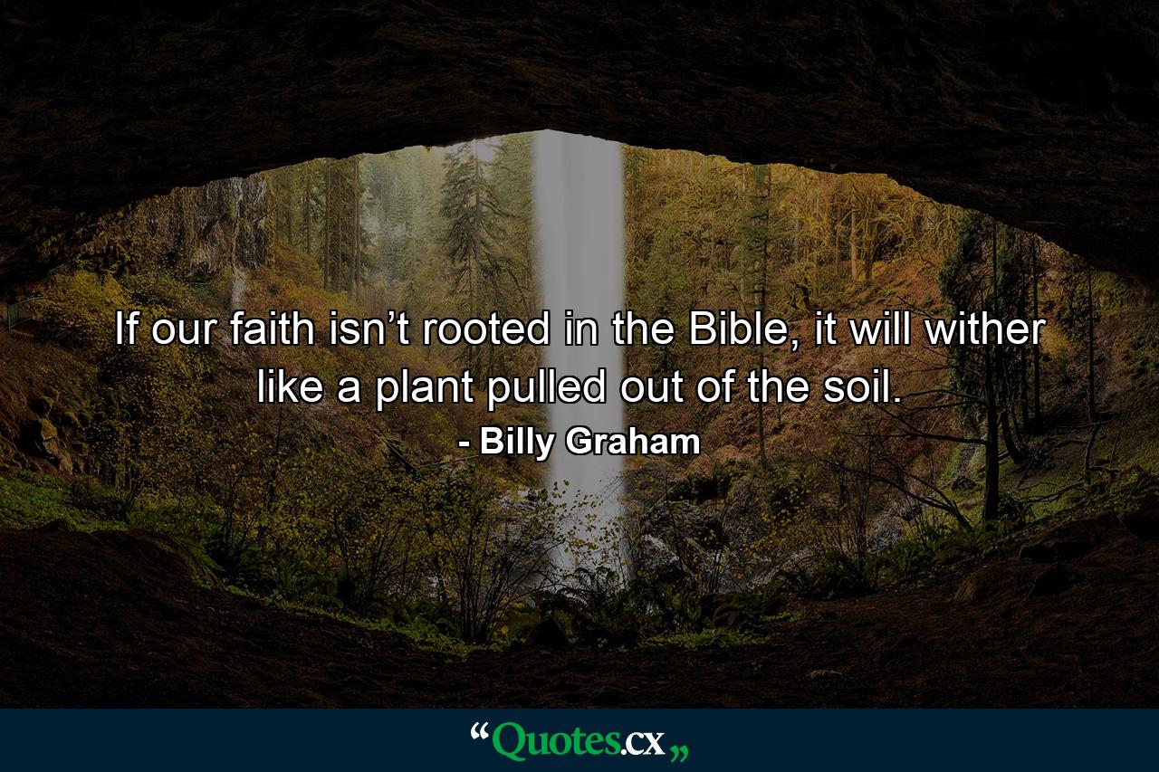 If our faith isn’t rooted in the Bible, it will wither like a plant pulled out of the soil. - Quote by Billy Graham