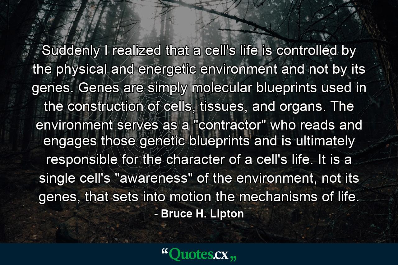 Suddenly I realized that a cell's life is controlled by the physical and energetic environment and not by its genes. Genes are simply molecular blueprints used in the construction of cells, tissues, and organs. The environment serves as a 