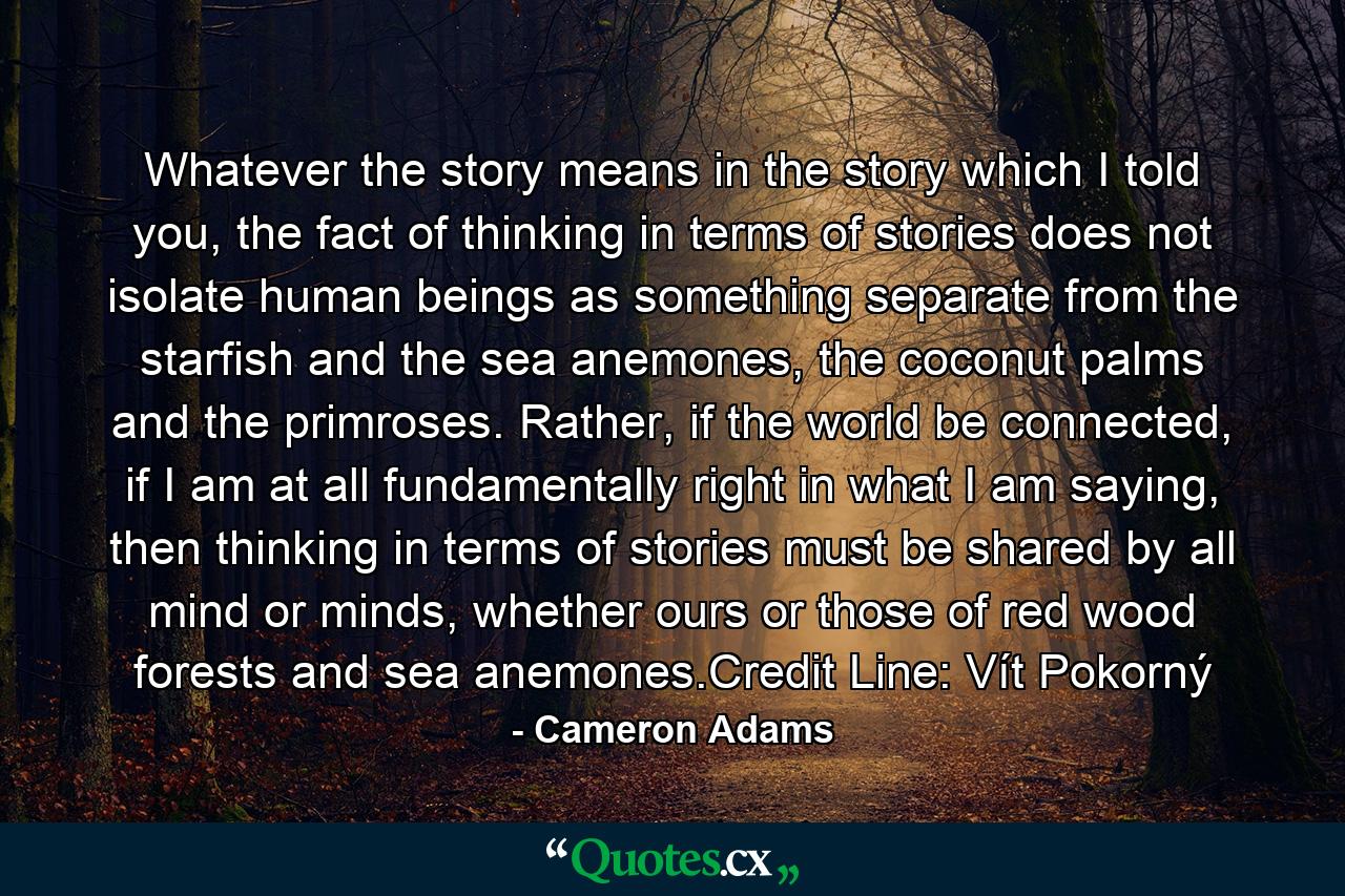 Whatever the story means in the story which I told you, the fact of thinking in terms of stories does not isolate human beings as something separate from the starfish and the sea anemones, the coconut palms and the primroses. Rather, if the world be connected, if I am at all fundamentally right in what I am saying, then thinking in terms of stories must be shared by all mind or minds, whether ours or those of red wood forests and sea anemones.Credit Line: Vít Pokorný - Quote by Cameron Adams