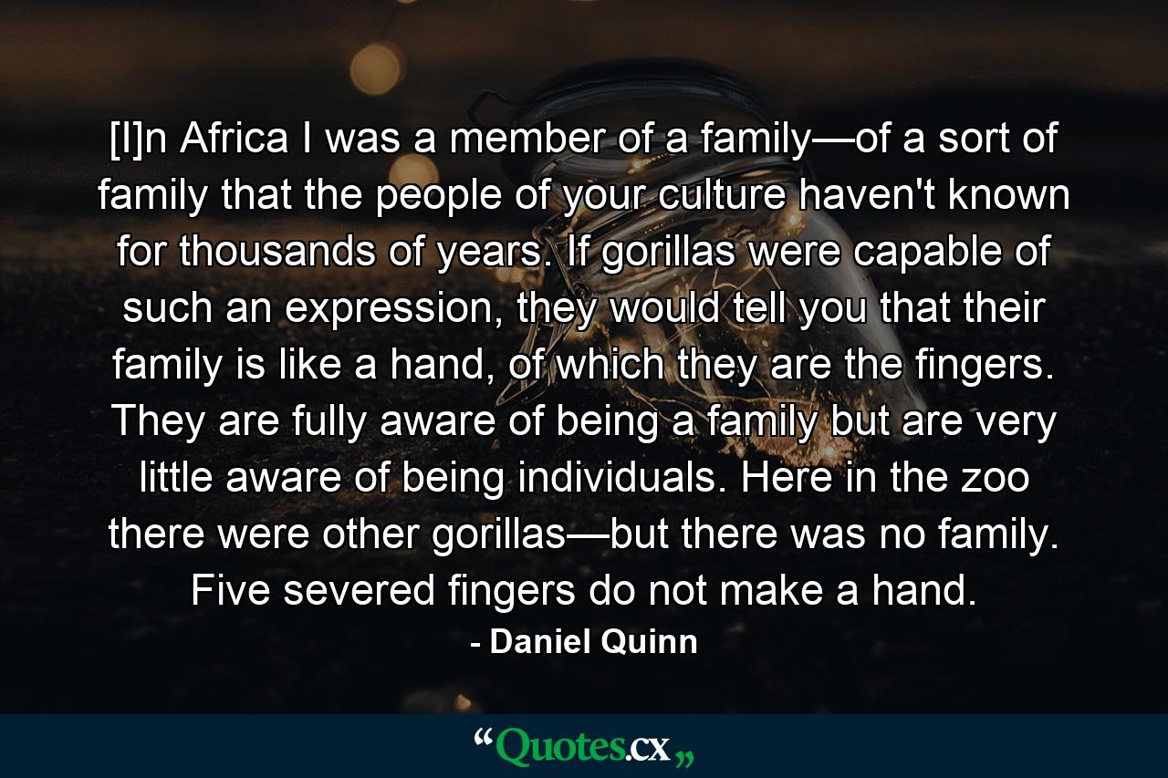 [I]n Africa I was a member of a family—of a sort of family that the people of your culture haven't known for thousands of years. If gorillas were capable of such an expression, they would tell you that their family is like a hand, of which they are the fingers. They are fully aware of being a family but are very little aware of being individuals. Here in the zoo there were other gorillas—but there was no family. Five severed fingers do not make a hand. - Quote by Daniel Quinn