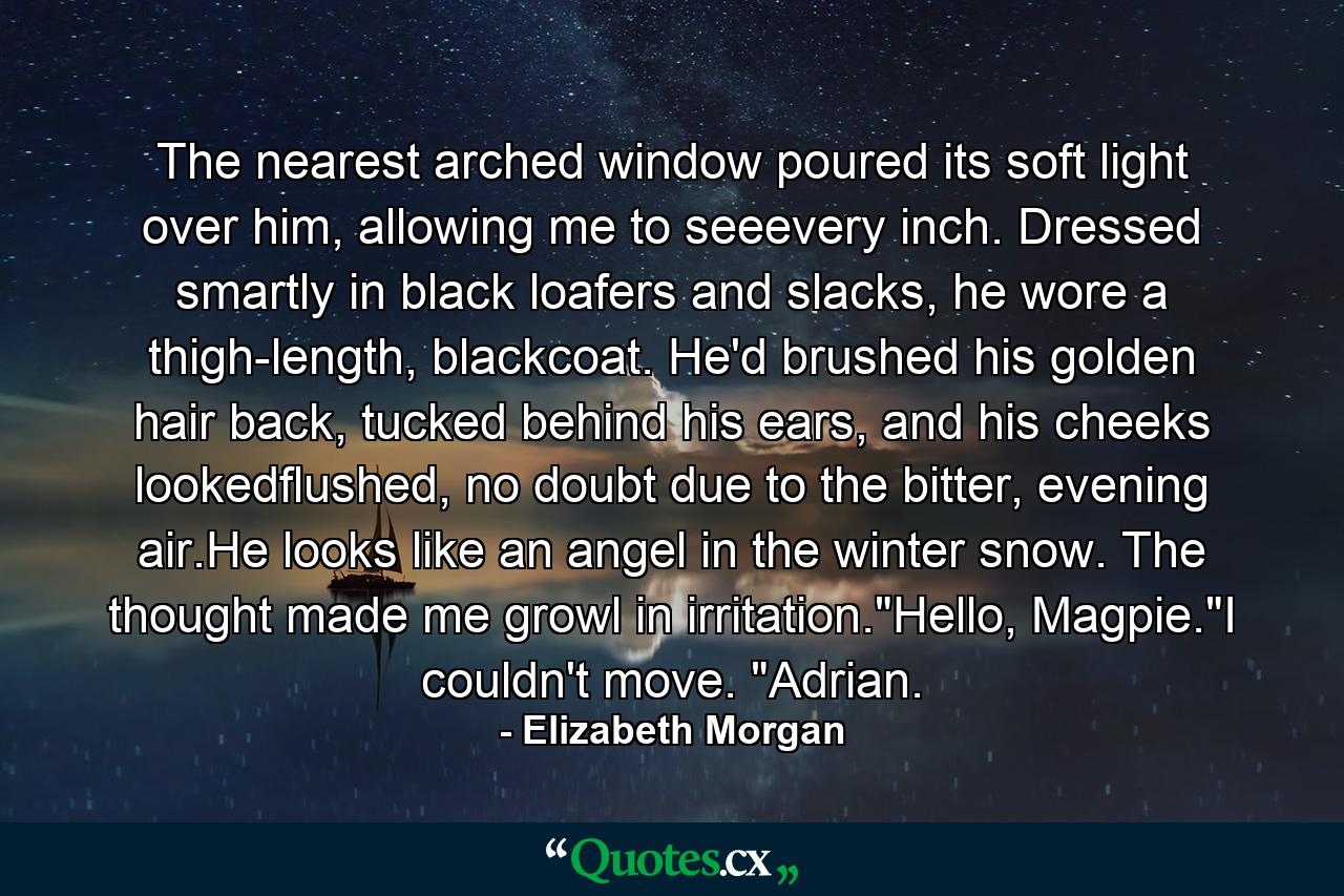 The nearest arched window poured its soft light over him, allowing me to seeevery inch. Dressed smartly in black loafers and slacks, he wore a thigh-length, blackcoat. He'd brushed his golden hair back, tucked behind his ears, and his cheeks lookedflushed, no doubt due to the bitter, evening air.He looks like an angel in the winter snow. The thought made me growl in irritation.