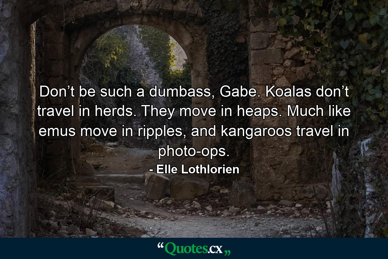 Don’t be such a dumbass, Gabe. Koalas don’t travel in herds. They move in heaps. Much like emus move in ripples, and kangaroos travel in photo-ops. - Quote by Elle Lothlorien