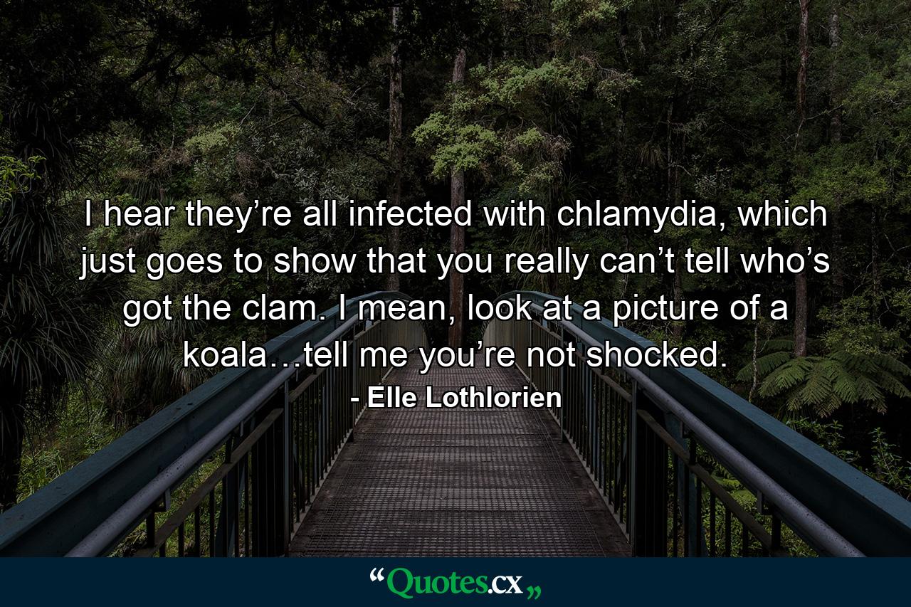 I hear they’re all infected with chlamydia, which just goes to show that you really can’t tell who’s got the clam. I mean, look at a picture of a koala…tell me you’re not shocked. - Quote by Elle Lothlorien