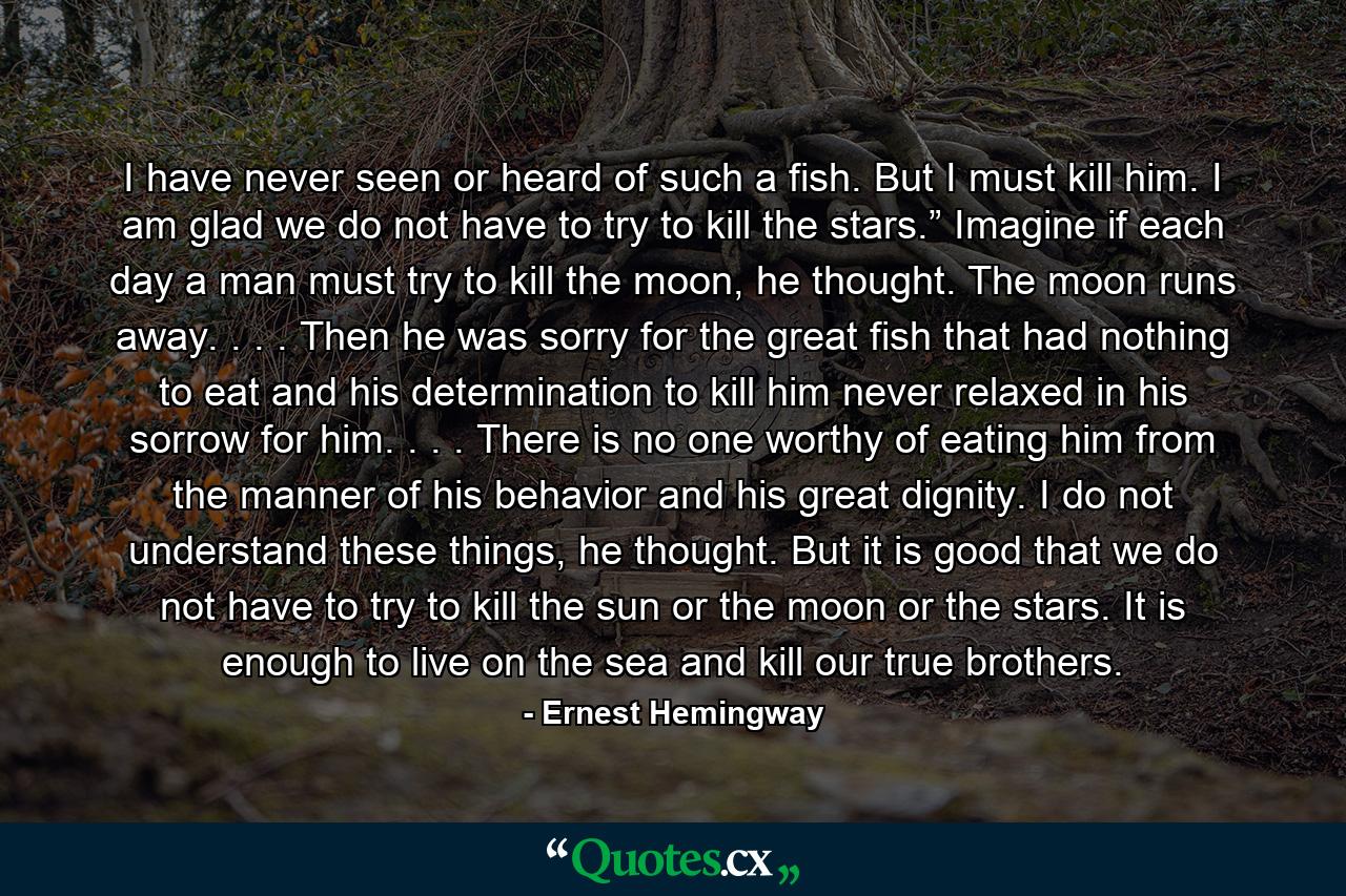 I have never seen or heard of such a fish. But I must kill him. I am glad we do not have to try to kill the stars.” Imagine if each day a man must try to kill the moon, he thought. The moon runs away. . . . Then he was sorry for the great fish that had nothing to eat and his determination to kill him never relaxed in his sorrow for him. . . . There is no one worthy of eating him from the manner of his behavior and his great dignity. I do not understand these things, he thought. But it is good that we do not have to try to kill the sun or the moon or the stars. It is enough to live on the sea and kill our true brothers. - Quote by Ernest Hemingway