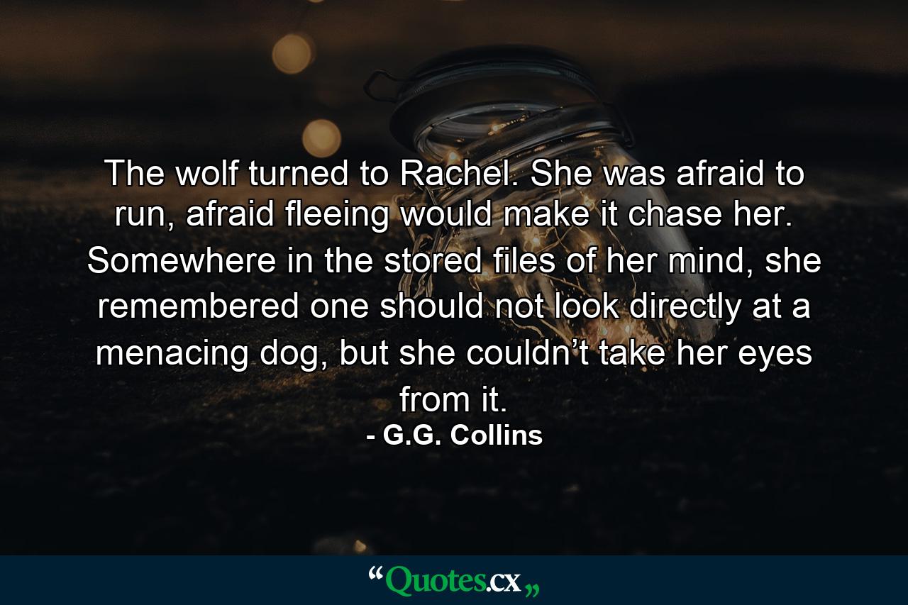 The wolf turned to Rachel. She was afraid to run, afraid fleeing would make it chase her. Somewhere in the stored files of her mind, she remembered one should not look directly at a menacing dog, but she couldn’t take her eyes from it. - Quote by G.G. Collins