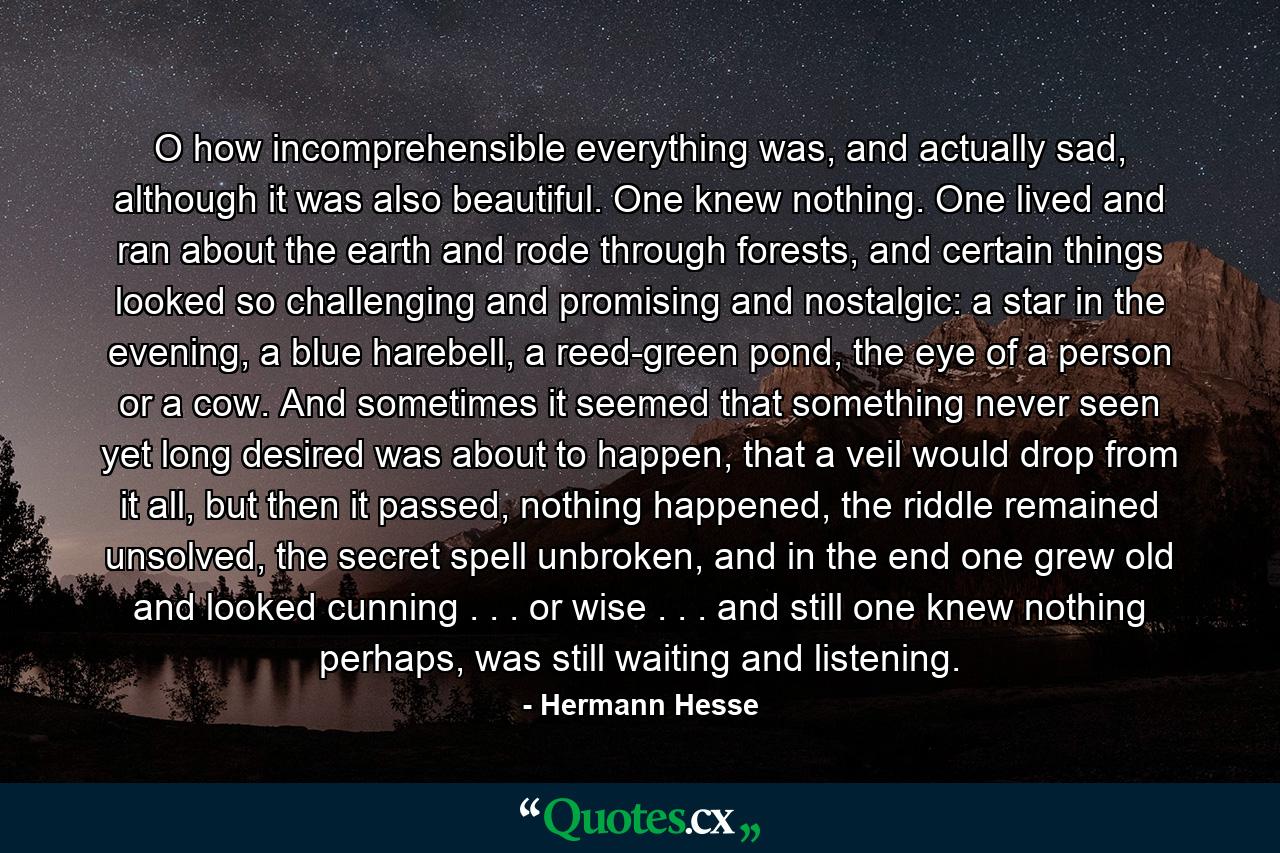 O how incomprehensible everything was, and actually sad, although it was also beautiful. One knew nothing. One lived and ran about the earth and rode through forests, and certain things looked so challenging and promising and nostalgic: a star in the evening, a blue harebell, a reed-green pond, the eye of a person or a cow. And sometimes it seemed that something never seen yet long desired was about to happen, that a veil would drop from it all, but then it passed, nothing happened, the riddle remained unsolved, the secret spell unbroken, and in the end one grew old and looked cunning . . . or wise . . . and still one knew nothing perhaps, was still waiting and listening. - Quote by Hermann Hesse