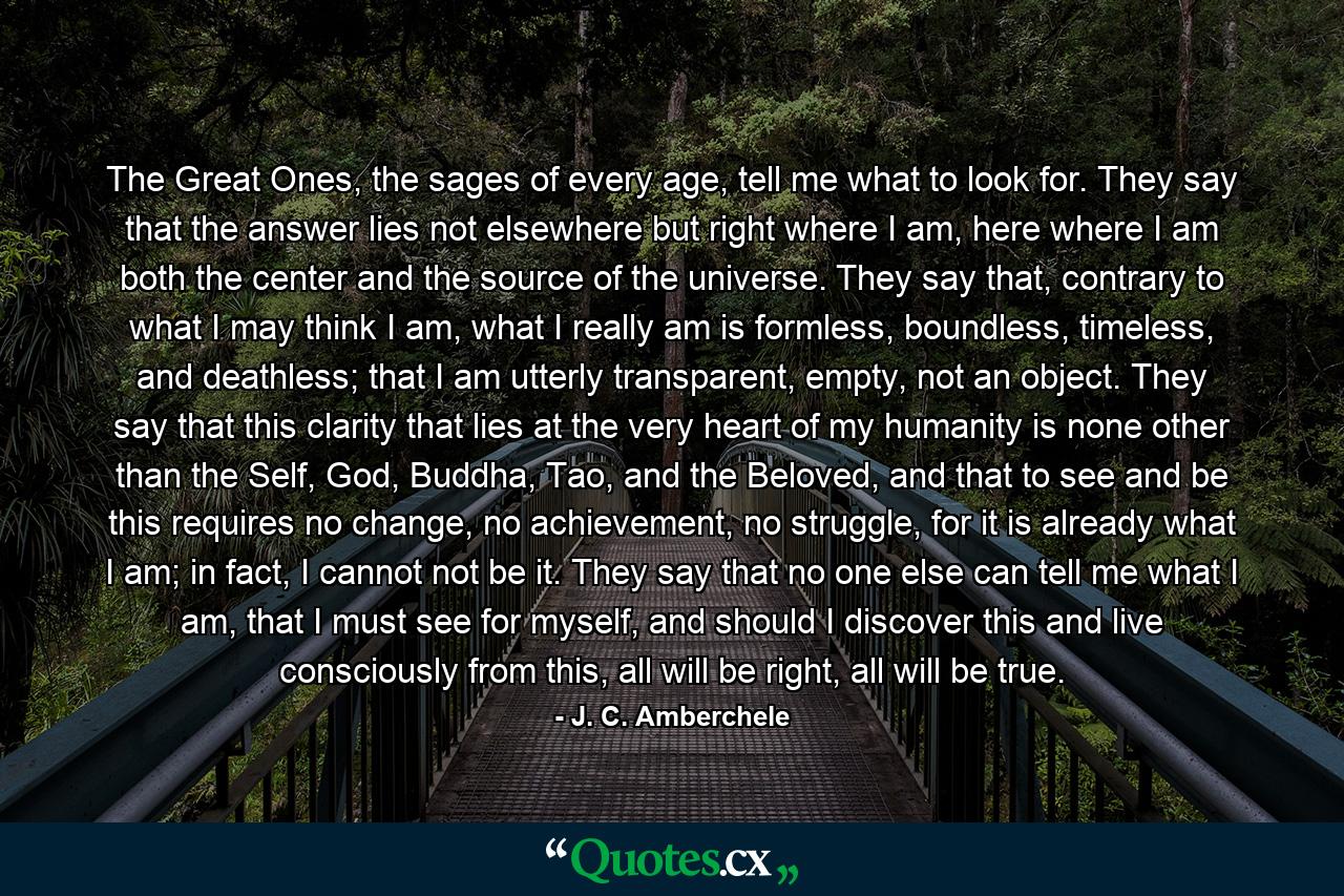 The Great Ones, the sages of every age, tell me what to look for. They say that the answer lies not elsewhere but right where I am, here where I am both the center and the source of the universe. They say that, contrary to what I may think I am, what I really am is formless, boundless, timeless, and deathless; that I am utterly transparent, empty, not an object. They say that this clarity that lies at the very heart of my humanity is none other than the Self, God, Buddha, Tao, and the Beloved, and that to see and be this requires no change, no achievement, no struggle, for it is already what I am; in fact, I cannot not be it. They say that no one else can tell me what I am, that I must see for myself, and should I discover this and live consciously from this, all will be right, all will be true. - Quote by J. C. Amberchele