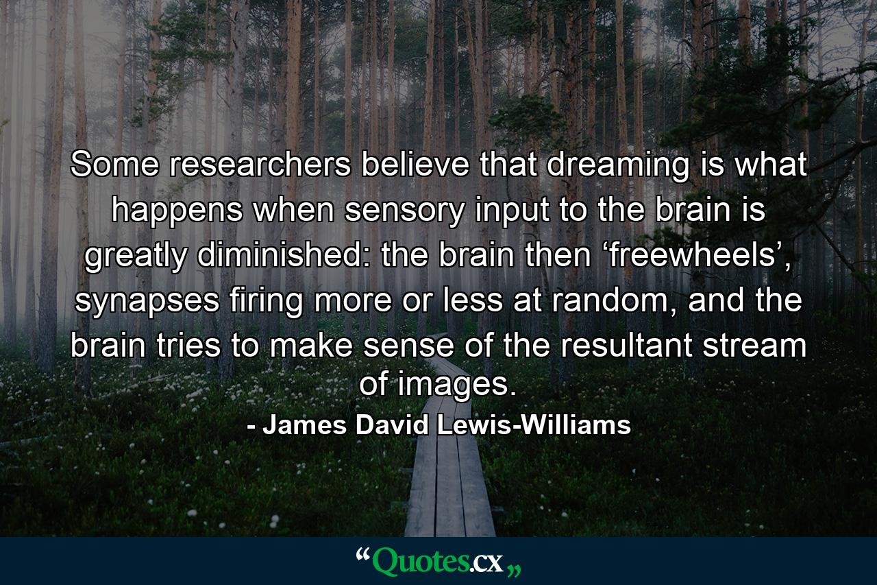 Some researchers believe that dreaming is what happens when sensory input to the brain is greatly diminished: the brain then ‘freewheels’, synapses firing more or less at random, and the brain tries to make sense of the resultant stream of images. - Quote by James David Lewis-Williams