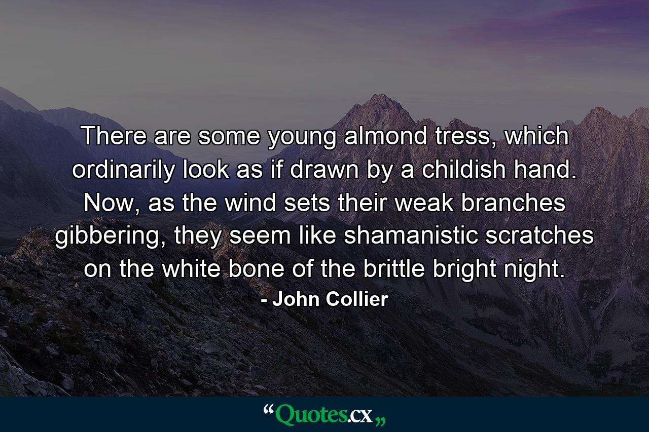 There are some young almond tress, which ordinarily look as if drawn by a childish hand. Now, as the wind sets their weak branches gibbering, they seem like shamanistic scratches on the white bone of the brittle bright night. - Quote by John Collier