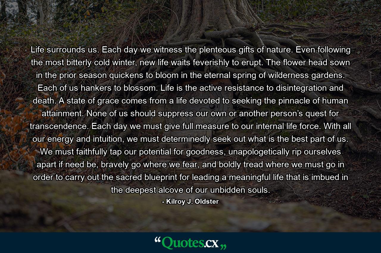 Life surrounds us. Each day we witness the plenteous gifts of nature. Even following the most bitterly cold winter, new life waits feverishly to erupt. The flower head sown in the prior season quickens to bloom in the eternal spring of wilderness gardens. Each of us hankers to blossom. Life is the active resistance to disintegration and death. A state of grace comes from a life devoted to seeking the pinnacle of human attainment. None of us should suppress our own or another person’s quest for transcendence. Each day we must give full measure to our internal life force. With all our energy and intuition, we must determinedly seek out what is the best part of us. We must faithfully tap our potential for goodness, unapologetically rip ourselves apart if need be, bravely go where we fear, and boldly tread where we must go in order to carry out the sacred blueprint for leading a meaningful life that is imbued in the deepest alcove of our unbidden souls. - Quote by Kilroy J. Oldster