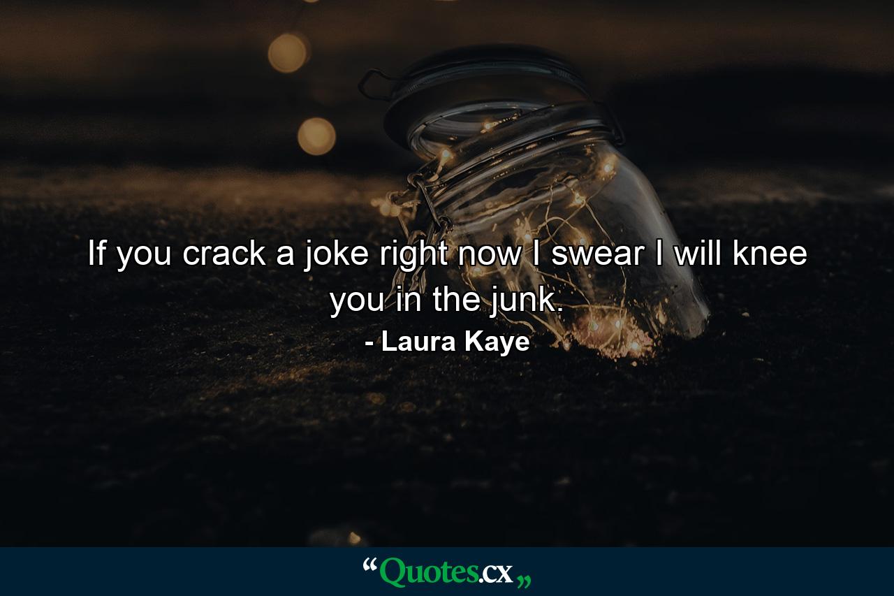 If you crack a joke right now I swear I will knee you in the junk. - Quote by Laura Kaye