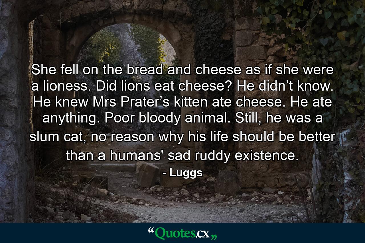 She fell on the bread and cheese as if she were a lioness. Did lions eat cheese? He didn’t know. He knew Mrs Prater’s kitten ate cheese. He ate anything. Poor bloody animal. Still, he was a slum cat, no reason why his life should be better than a humans' sad ruddy existence. - Quote by Luggs