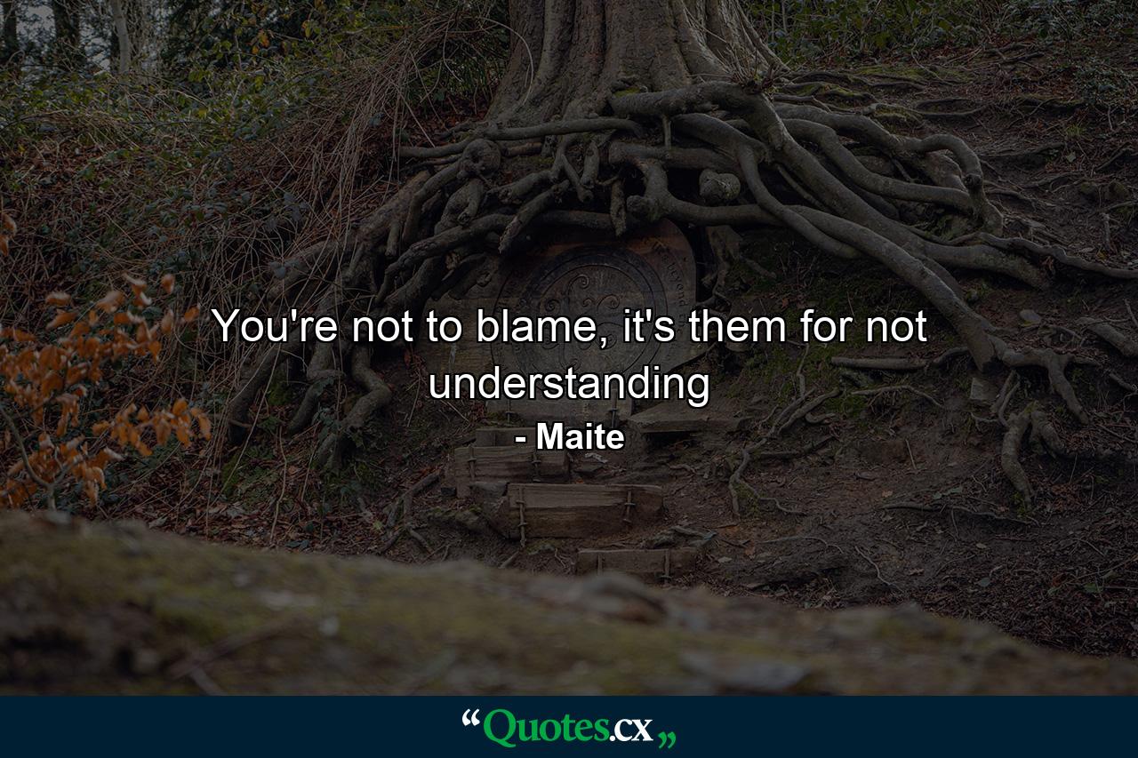 You're not to blame, it's them for not understanding - Quote by Maite