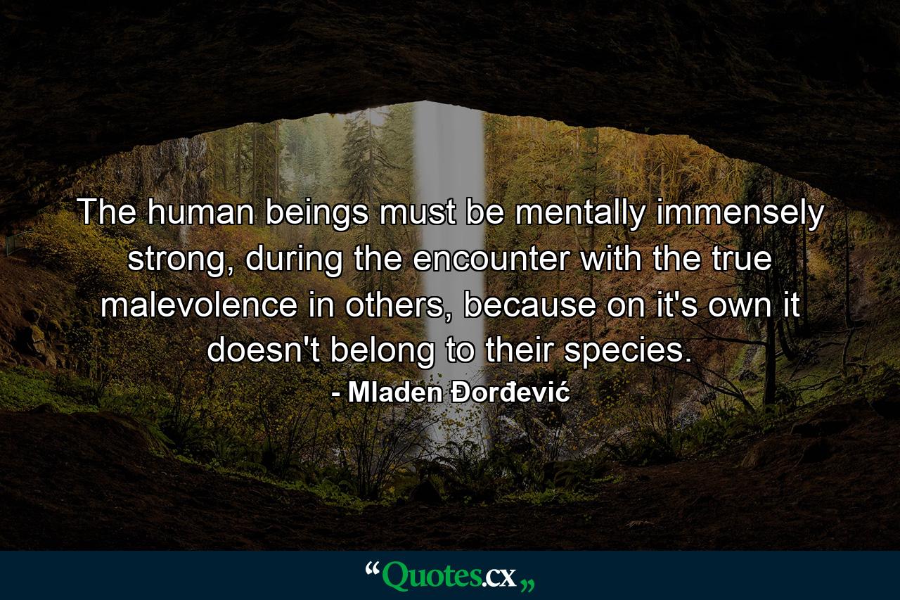 The human beings must be mentally immensely strong, during the encounter with the true malevolence in others, because on it's own it doesn't belong to their species. - Quote by Mladen Đorđević