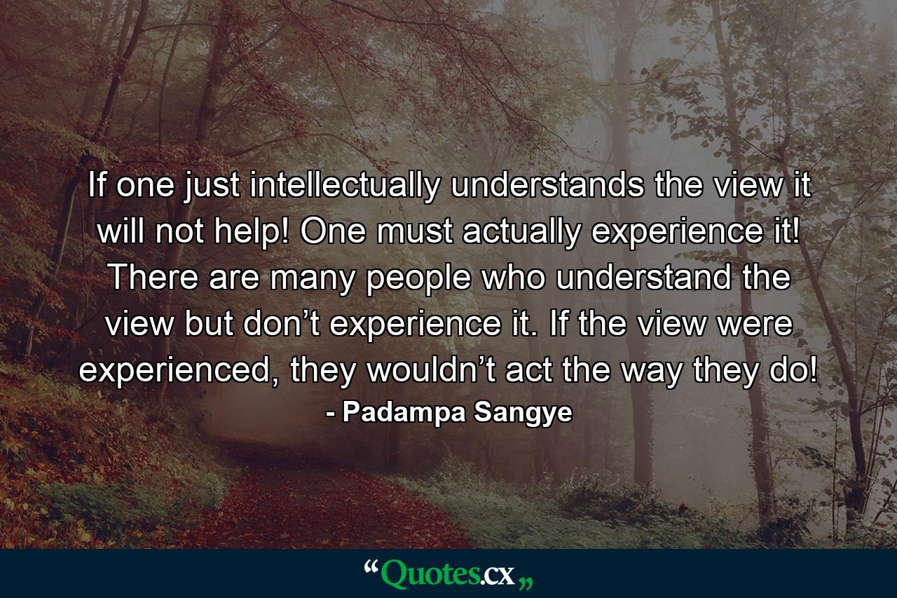 If one just intellectually understands the view it will not help! One must actually experience it! There are many people who understand the view but don’t experience it. If the view were experienced, they wouldn’t act the way they do! - Quote by Padampa Sangye