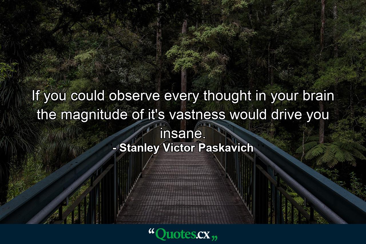 If you could observe every thought in your brain the magnitude of it's vastness would drive you insane. - Quote by Stanley Victor Paskavich