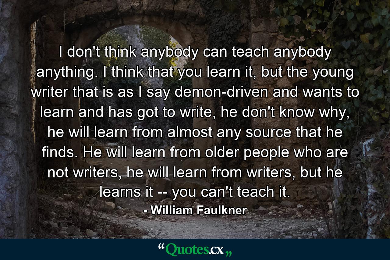 I don't think anybody can teach anybody anything. I think that you learn it, but the young writer that is as I say demon-driven and wants to learn and has got to write, he don't know why, he will learn from almost any source that he finds. He will learn from older people who are not writers, he will learn from writers, but he learns it -- you can't teach it. - Quote by William Faulkner