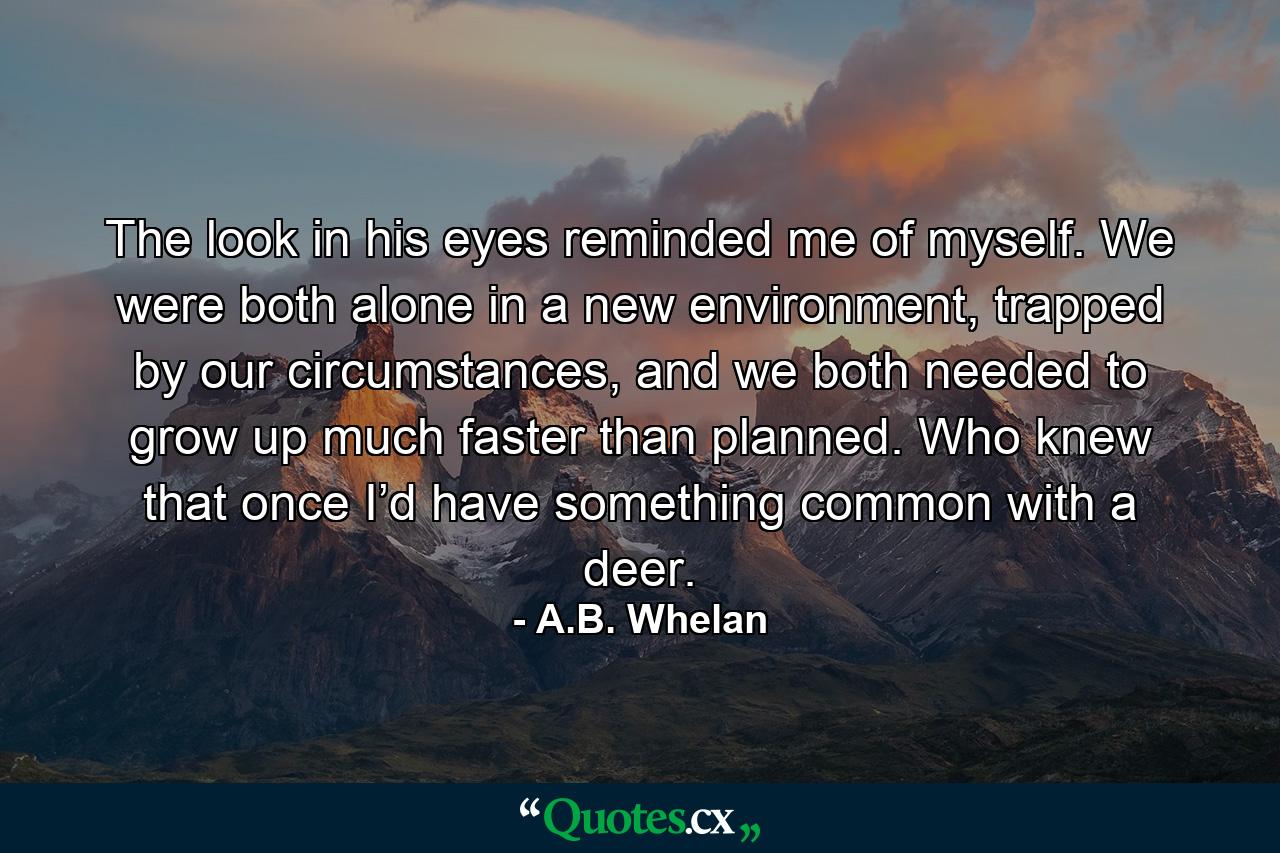 The look in his eyes reminded me of myself. We were both alone in a new environment, trapped by our circumstances, and we both needed to grow up much faster than planned. Who knew that once I’d have something common with a deer. - Quote by A.B. Whelan