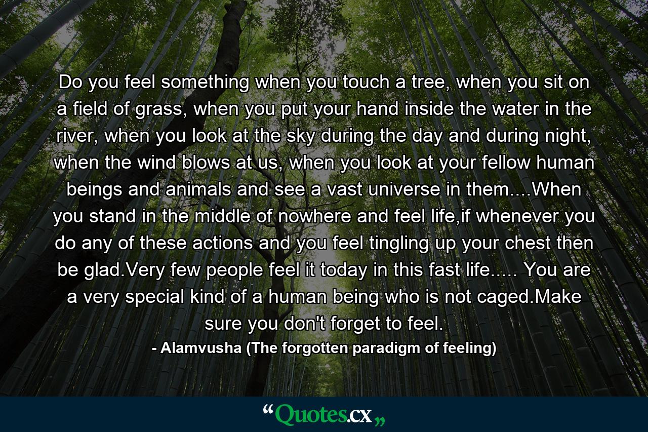 Do you feel something when you touch a tree, when you sit on a field of grass, when you put your hand inside the water in the river, when you look at the sky during the day and during night, when the wind blows at us, when you look at your fellow human beings and animals and see a vast universe in them....When you stand in the middle of nowhere and feel life,if whenever you do any of these actions and you feel tingling up your chest then be glad.Very few people feel it today in this fast life..... You are a very special kind of a human being who is not caged.Make sure you don't forget to feel. - Quote by Alamvusha (The forgotten paradigm of feeling)