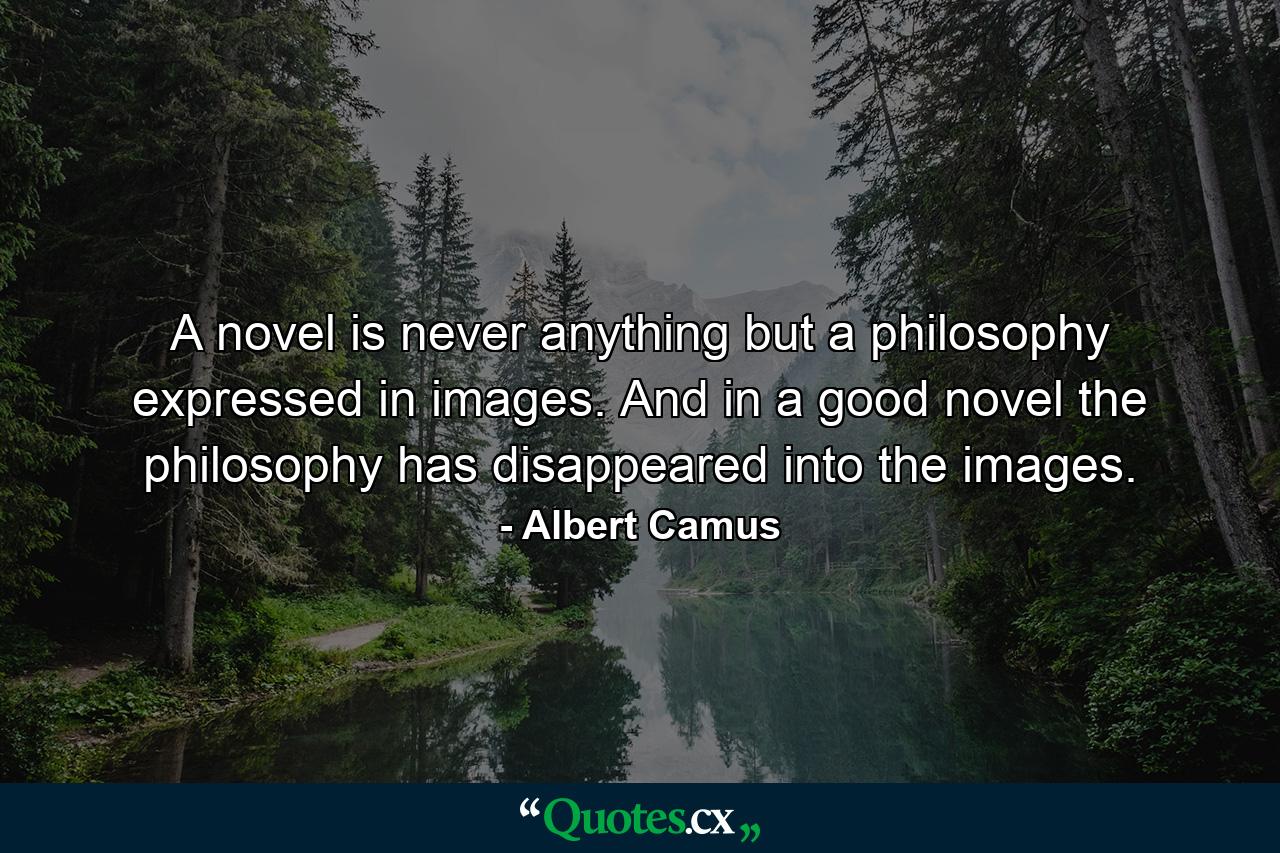 A novel is never anything but a philosophy expressed in images. And in a good novel the philosophy has disappeared into the images. - Quote by Albert Camus