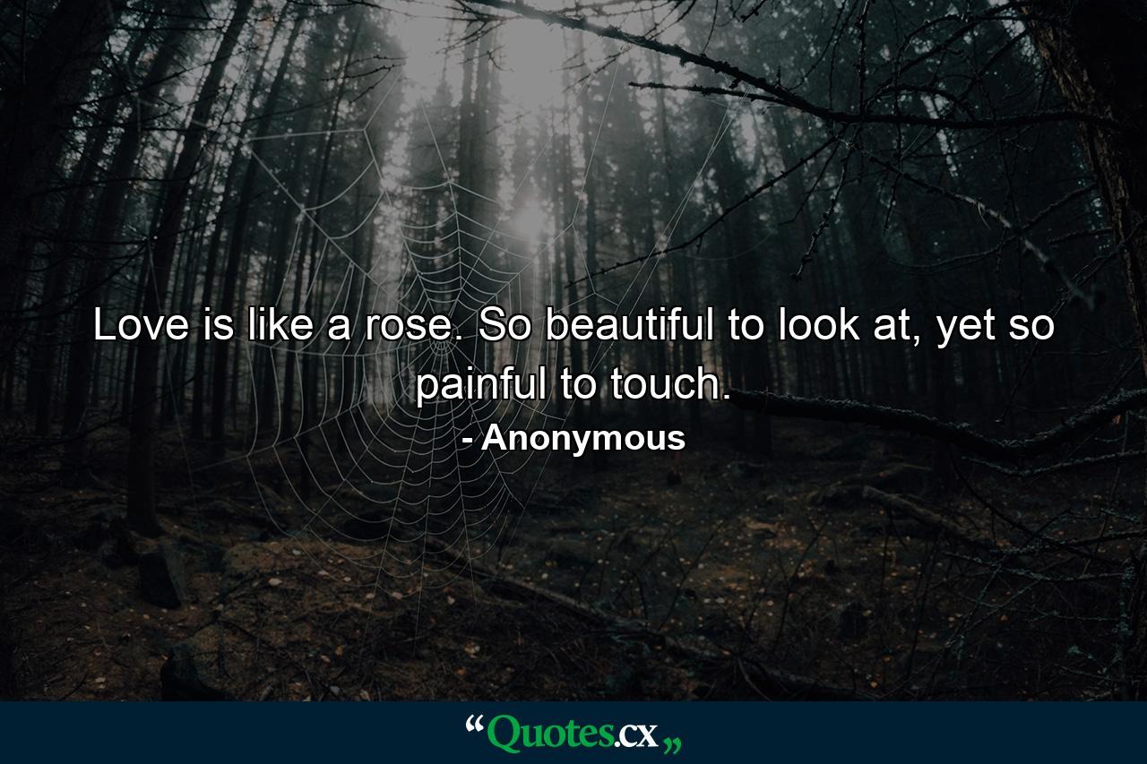 Love is like a rose. So beautiful to look at, yet so painful to touch. - Quote by Anonymous