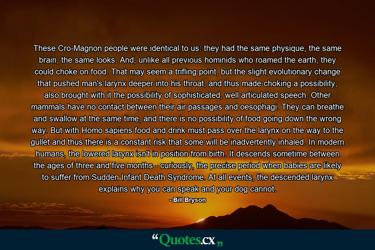 These Cro-Magnon people were identical to us: they had the same physique, the same brain, the same looks. And, unlike all previous hominids who roamed the earth, they could choke on food. That may seem a trifling point, but the slight evolutionary change that pushed man's larynx deeper into his throat, and thus made choking a possibility, also brought with it the possibility of sophisticated, well articulated speech. Other mammals have no contact between their air passages and oesophagi. They can breathe and swallow at the same time, and there is no possibility of food going down the wrong way. But with Homo sapiens food and drink must pass over the larynx on the way to the gullet and thus there is a constant risk that some will be inadvertently inhaled. In modern humans, the lowered larynx isn't in position from birth. It descends sometime between the ages of three and five months - curiously, the precise period when babies are likely to suffer from Sudden Infant Death Syndrome. At all events, the descended larynx explains why you can speak and your dog cannot. - Quote by Bill Bryson