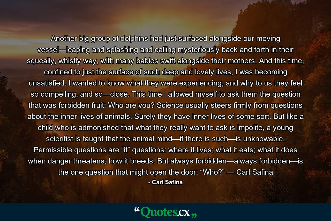 Another big group of dolphins had just surfaced alongside our moving vessel—leaping and splashing and calling mysteriously back and forth in their squeally, whistly way, with many babies swift alongside their mothers. And this time, confined to just the surface of such deep and lovely lives, I was becoming unsatisfied. I wanted to know what they were experiencing, and why to us they feel so compelling, and so—close. This time I allowed myself to ask them the question that was forbidden fruit: Who are you? Science usually steers firmly from questions about the inner lives of animals. Surely they have inner lives of some sort. But like a child who is admonished that what they really want to ask is impolite, a young scientist is taught that the animal mind—if there is such—is unknowable. Permissible questions are “it” questions: where it lives; what it eats; what it does when danger threatens; how it breeds. But always forbidden—always forbidden—is the one question that might open the door: “Who?” — Carl Safina - Quote by Carl Safina