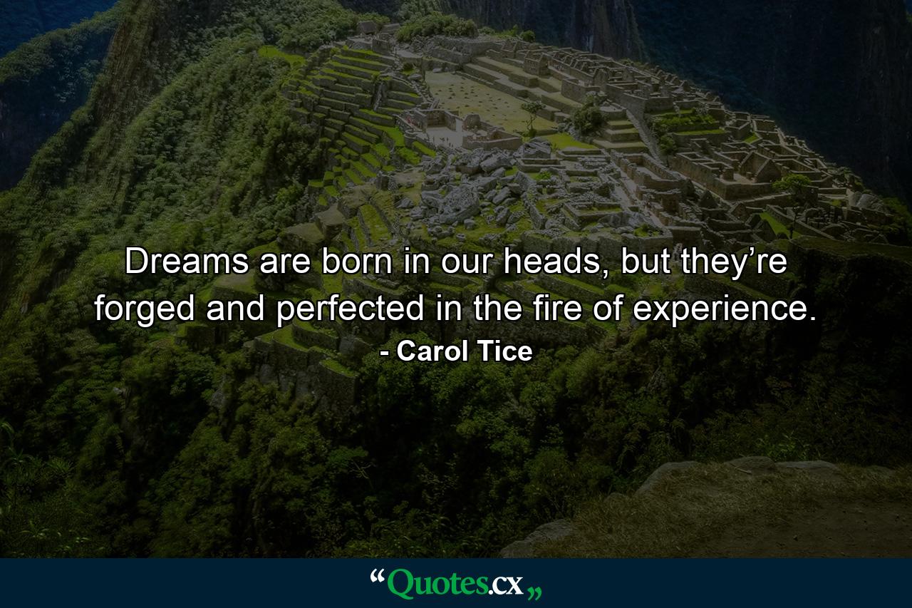 Dreams are born in our heads, but they’re forged and perfected in the fire of experience. - Quote by Carol Tice