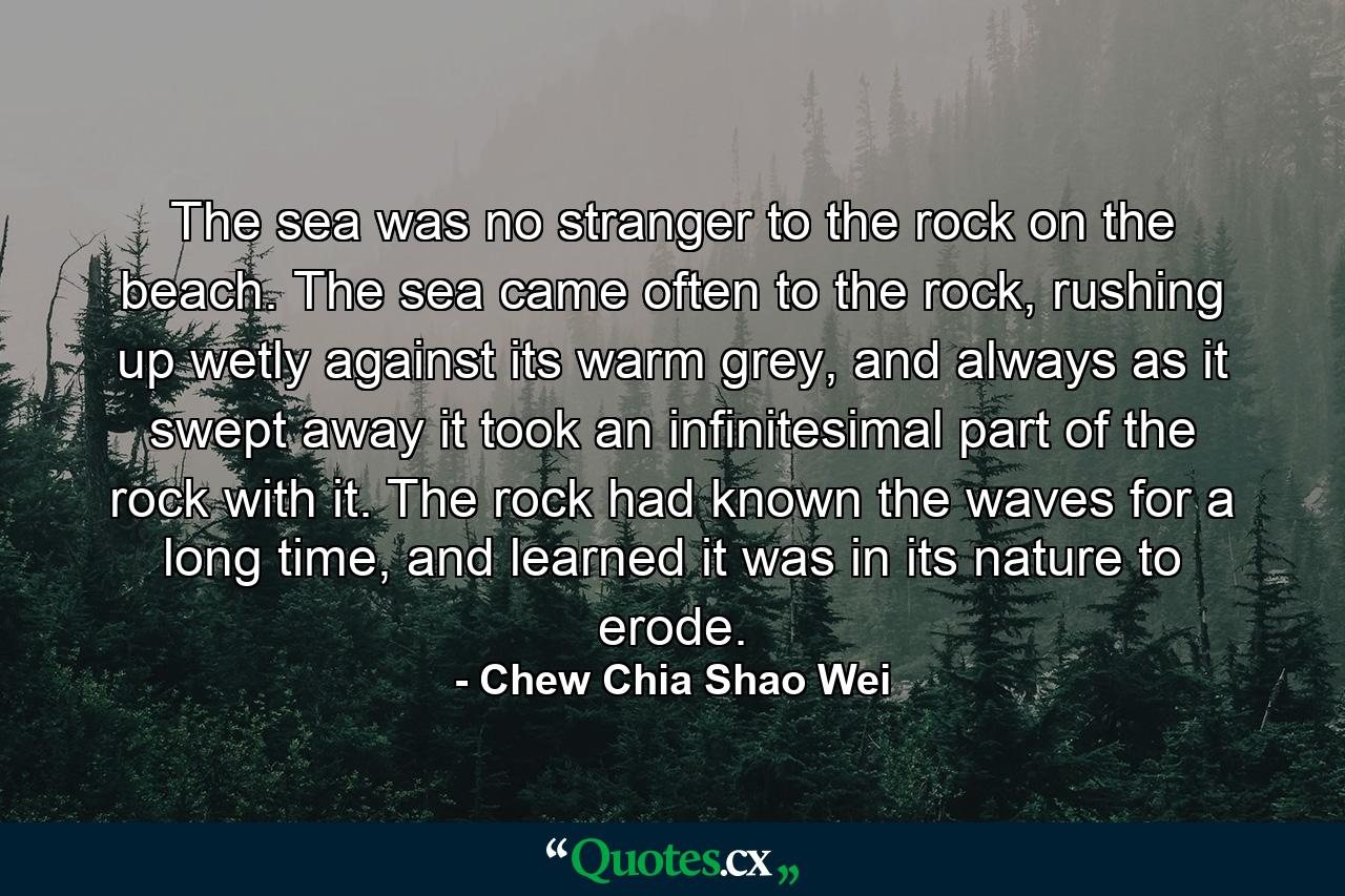 The sea was no stranger to the rock on the beach. The sea came often to the rock, rushing up wetly against its warm grey, and always as it swept away it took an infinitesimal part of the rock with it. The rock had known the waves for a long time, and learned it was in its nature to erode. - Quote by Chew Chia Shao Wei