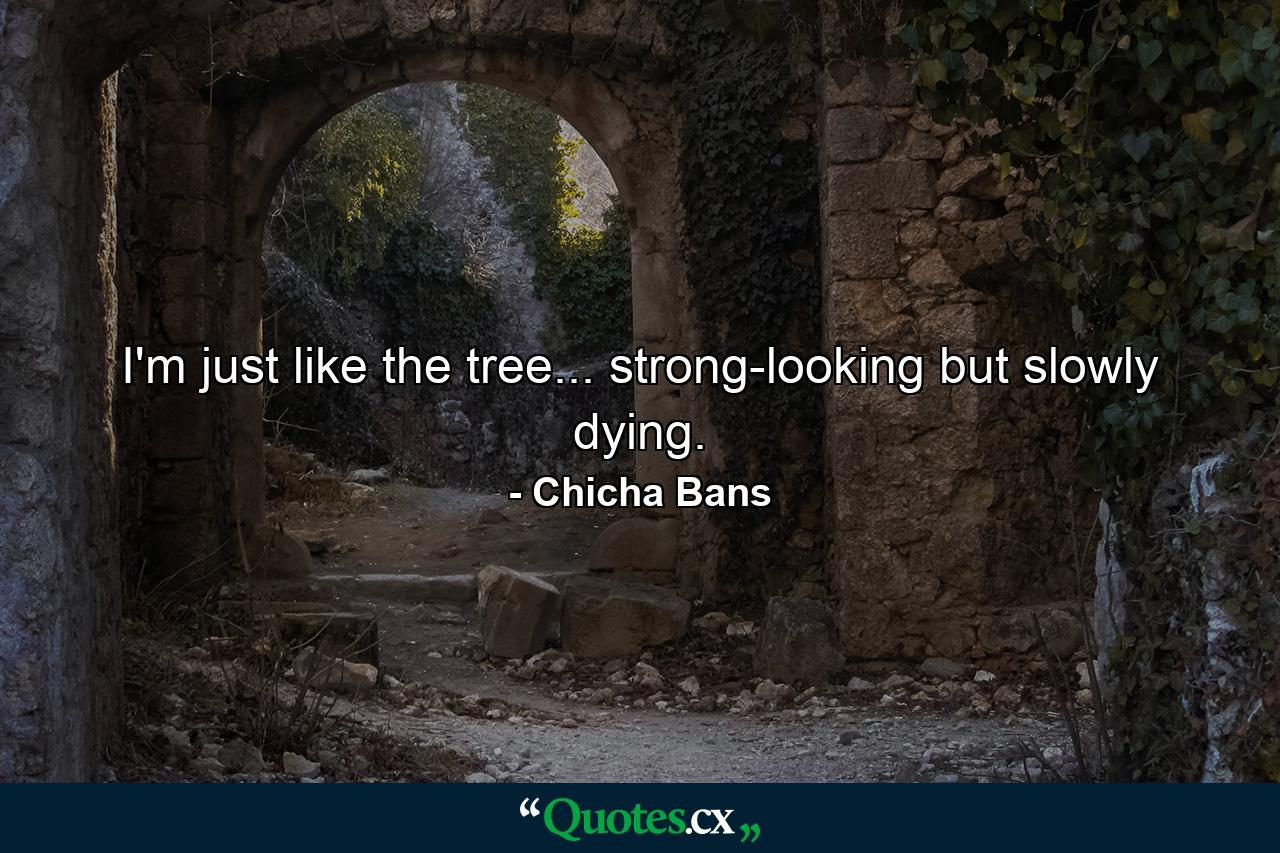 I'm just like the tree... strong-looking but slowly dying. - Quote by Chicha Bans