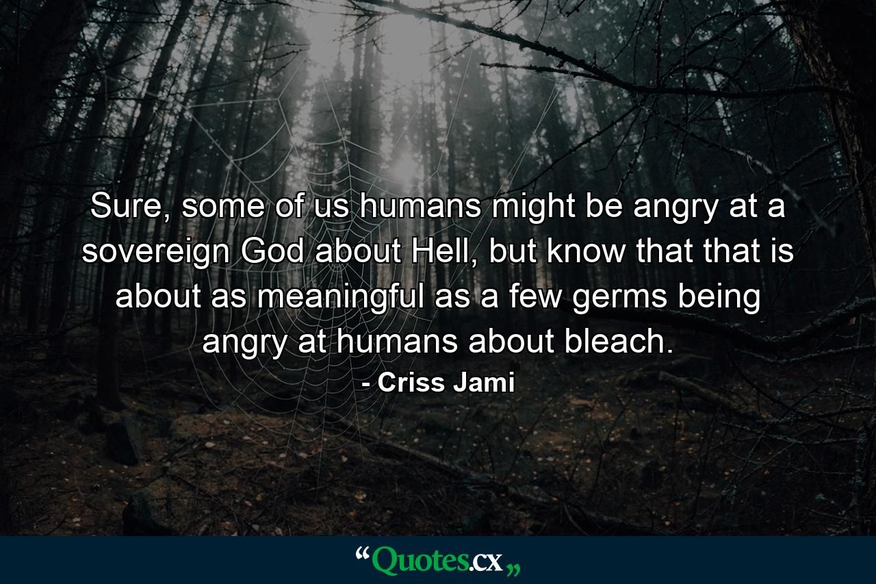 Sure, some of us humans might be angry at a sovereign God about Hell, but know that that is about as meaningful as a few germs being angry at humans about bleach. - Quote by Criss Jami