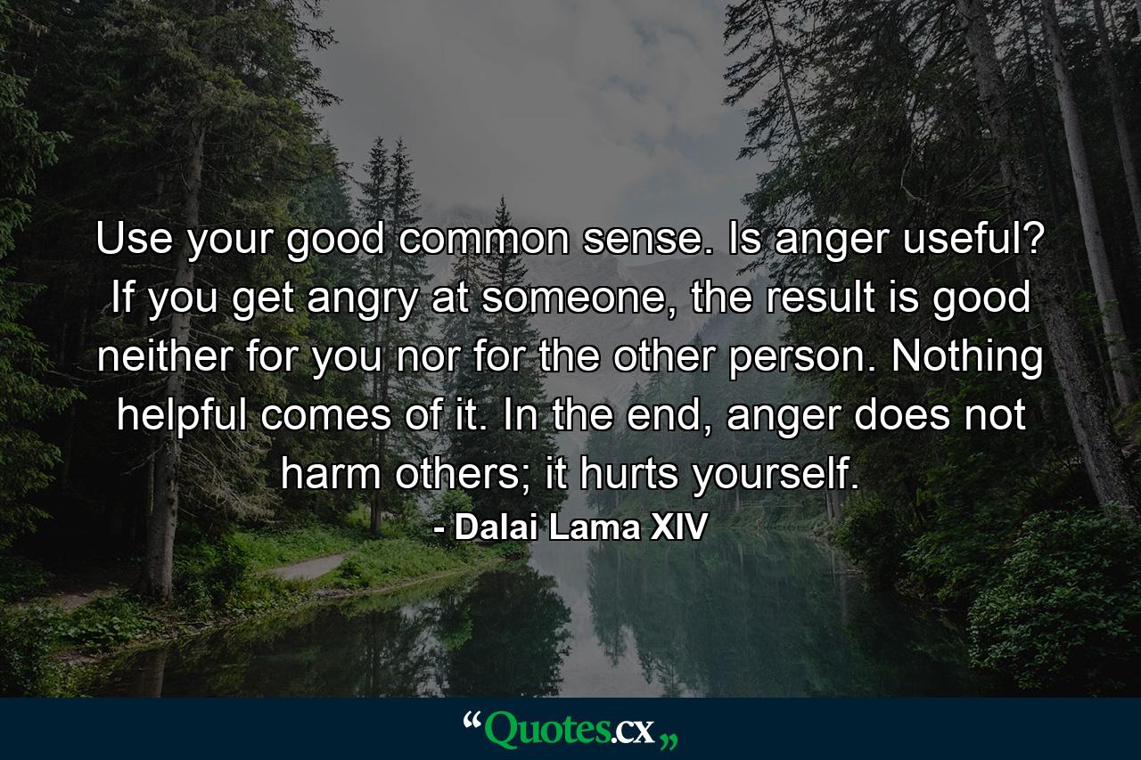 Use your good common sense. Is anger useful? If you get angry at someone, the result is good neither for you nor for the other person. Nothing helpful comes of it. In the end, anger does not harm others; it hurts yourself. - Quote by Dalai Lama XIV