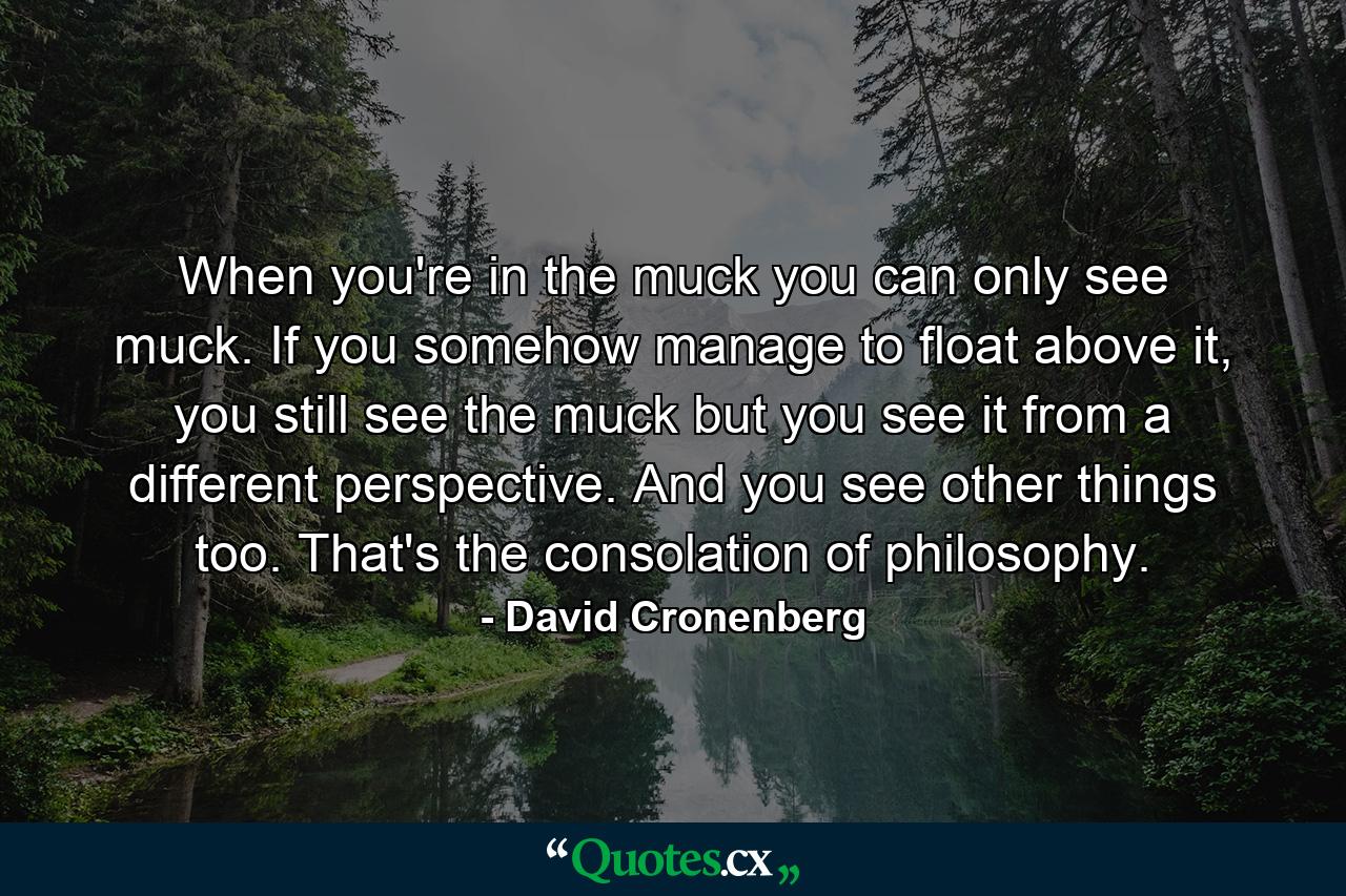 When you're in the muck you can only see muck. If you somehow manage to float above it, you still see the muck but you see it from a different perspective. And you see other things too. That's the consolation of philosophy. - Quote by David Cronenberg