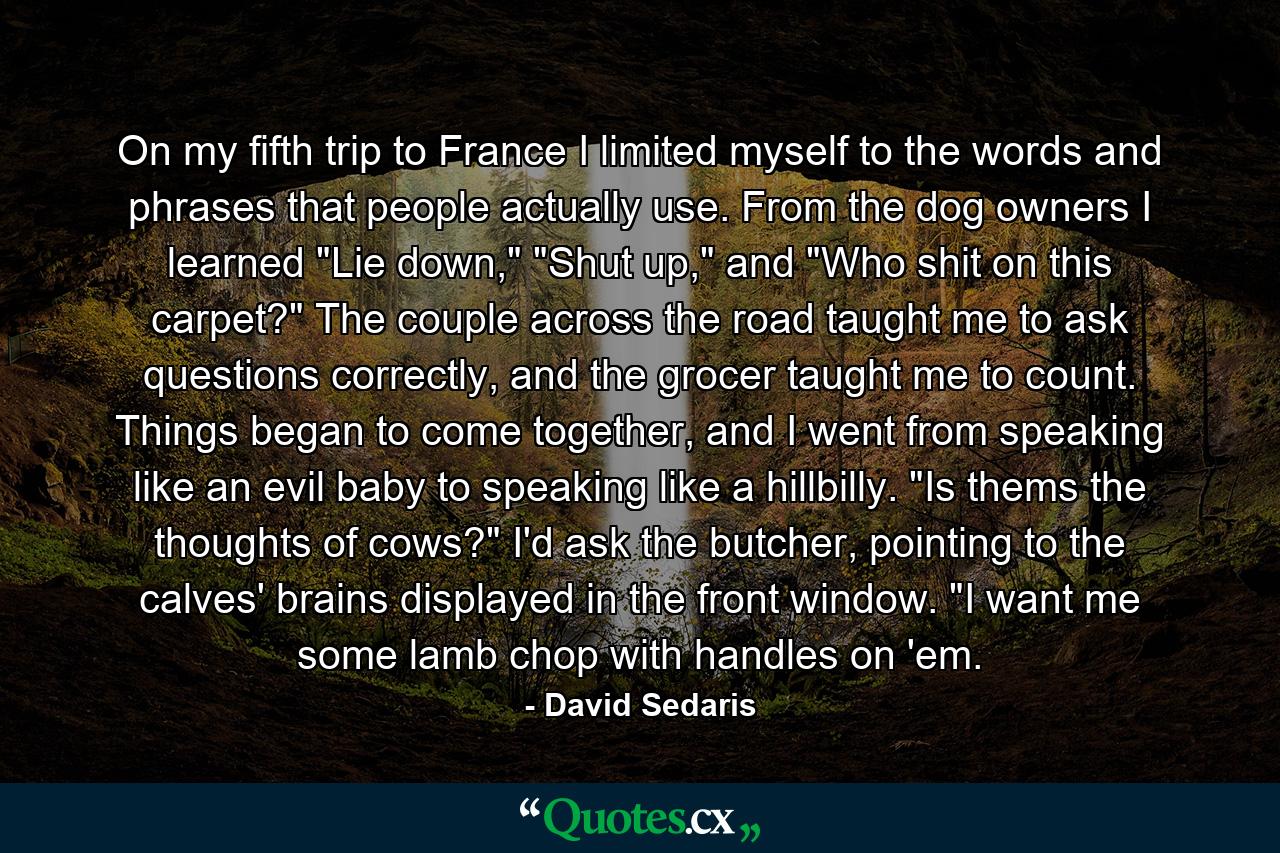 On my fifth trip to France I limited myself to the words and phrases that people actually use. From the dog owners I learned 