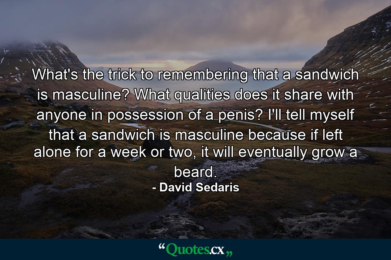 What's the trick to remembering that a sandwich is masculine? What qualities does it share with anyone in possession of a penis? I'll tell myself that a sandwich is masculine because if left alone for a week or two, it will eventually grow a beard. - Quote by David Sedaris