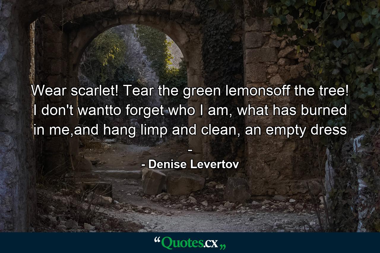 Wear scarlet! Tear the green lemonsoff the tree! I don't wantto forget who I am, what has burned in me,and hang limp and clean, an empty dress - - Quote by Denise Levertov