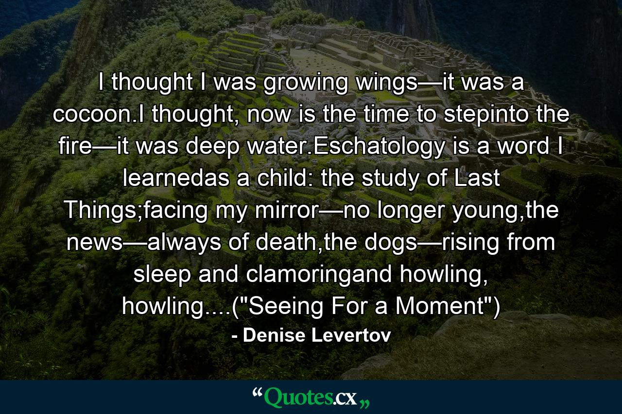 I thought I was growing wings—it was a cocoon.I thought, now is the time to stepinto the fire—it was deep water.Eschatology is a word I learnedas a child: the study of Last Things;facing my mirror—no longer young,the news—always of death,the dogs—rising from sleep and clamoringand howling, howling....(