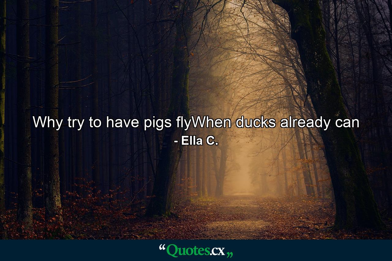 Why try to have pigs flyWhen ducks already can - Quote by Ella C.