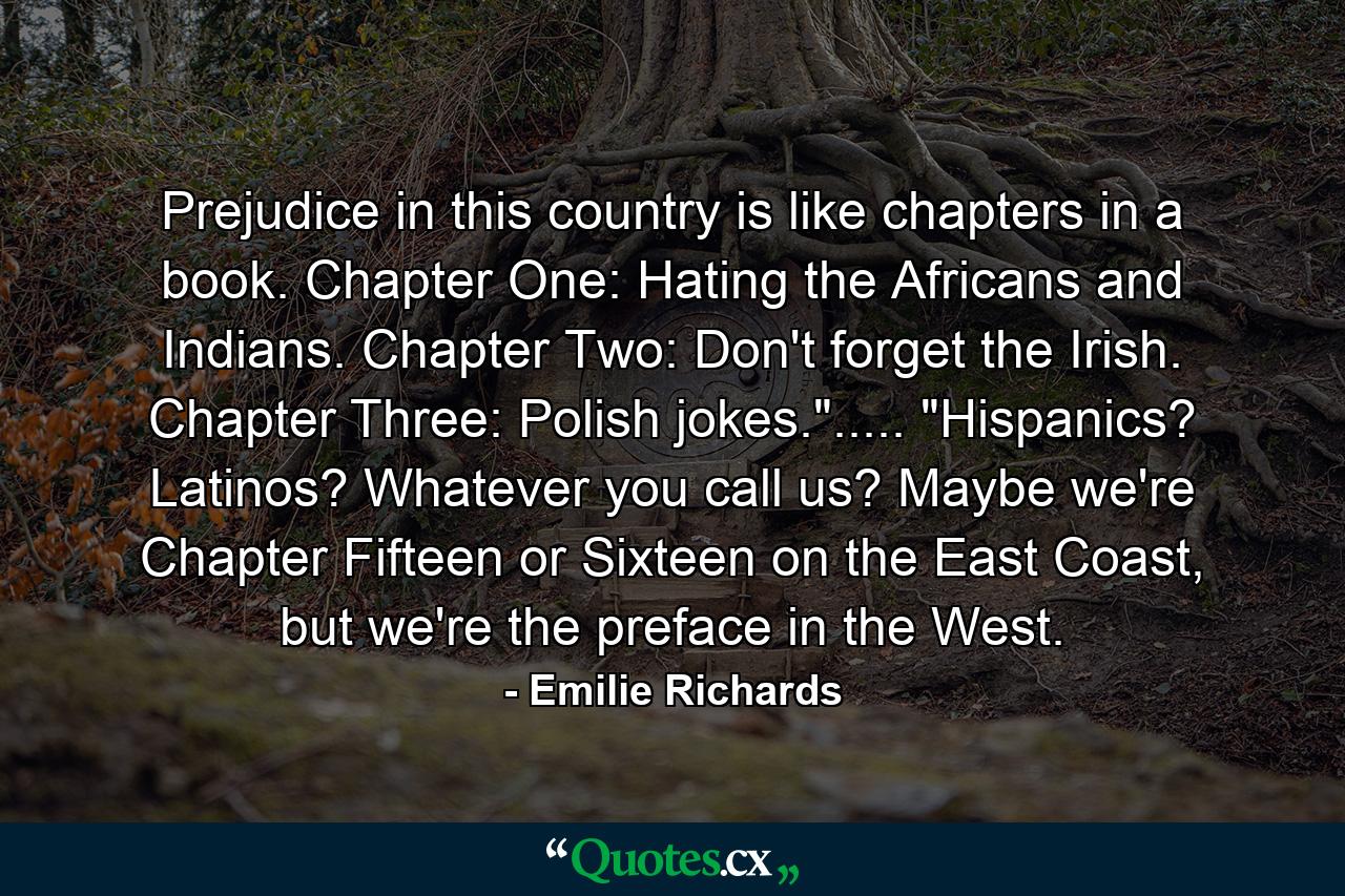 Prejudice in this country is like chapters in a book. Chapter One: Hating the Africans and Indians. Chapter Two: Don't forget the Irish. Chapter Three: Polish jokes.