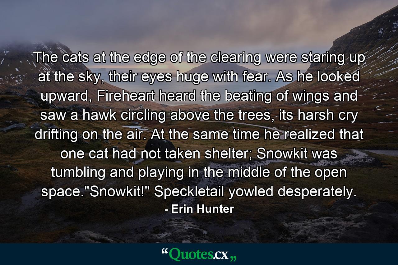 The cats at the edge of the clearing were staring up at the sky, their eyes huge with fear. As he looked upward, Fireheart heard the beating of wings and saw a hawk circling above the trees, its harsh cry drifting on the air. At the same time he realized that one cat had not taken shelter; Snowkit was tumbling and playing in the middle of the open space.