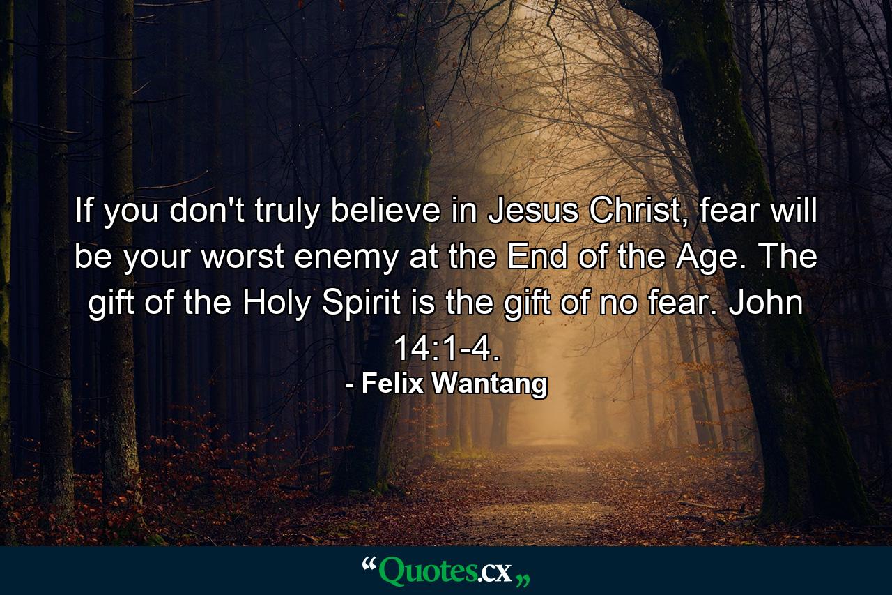 If you don't truly believe in Jesus Christ, fear will be your worst enemy at the End of the Age. The gift of the Holy Spirit is the gift of no fear. John 14:1-4. - Quote by Felix Wantang