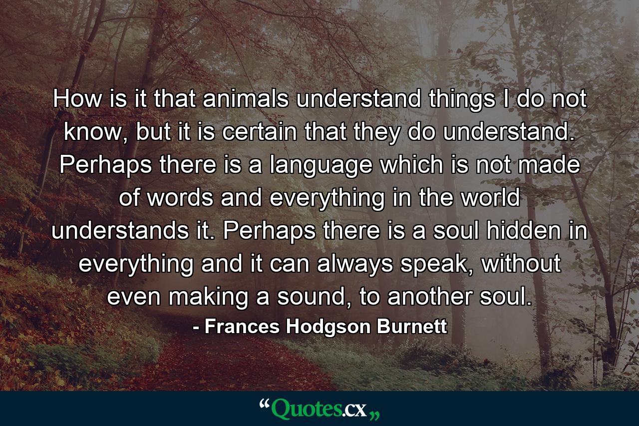 How is it that animals understand things I do not know, but it is certain that they do understand. Perhaps there is a language which is not made of words and everything in the world understands it. Perhaps there is a soul hidden in everything and it can always speak, without even making a sound, to another soul. - Quote by Frances Hodgson Burnett