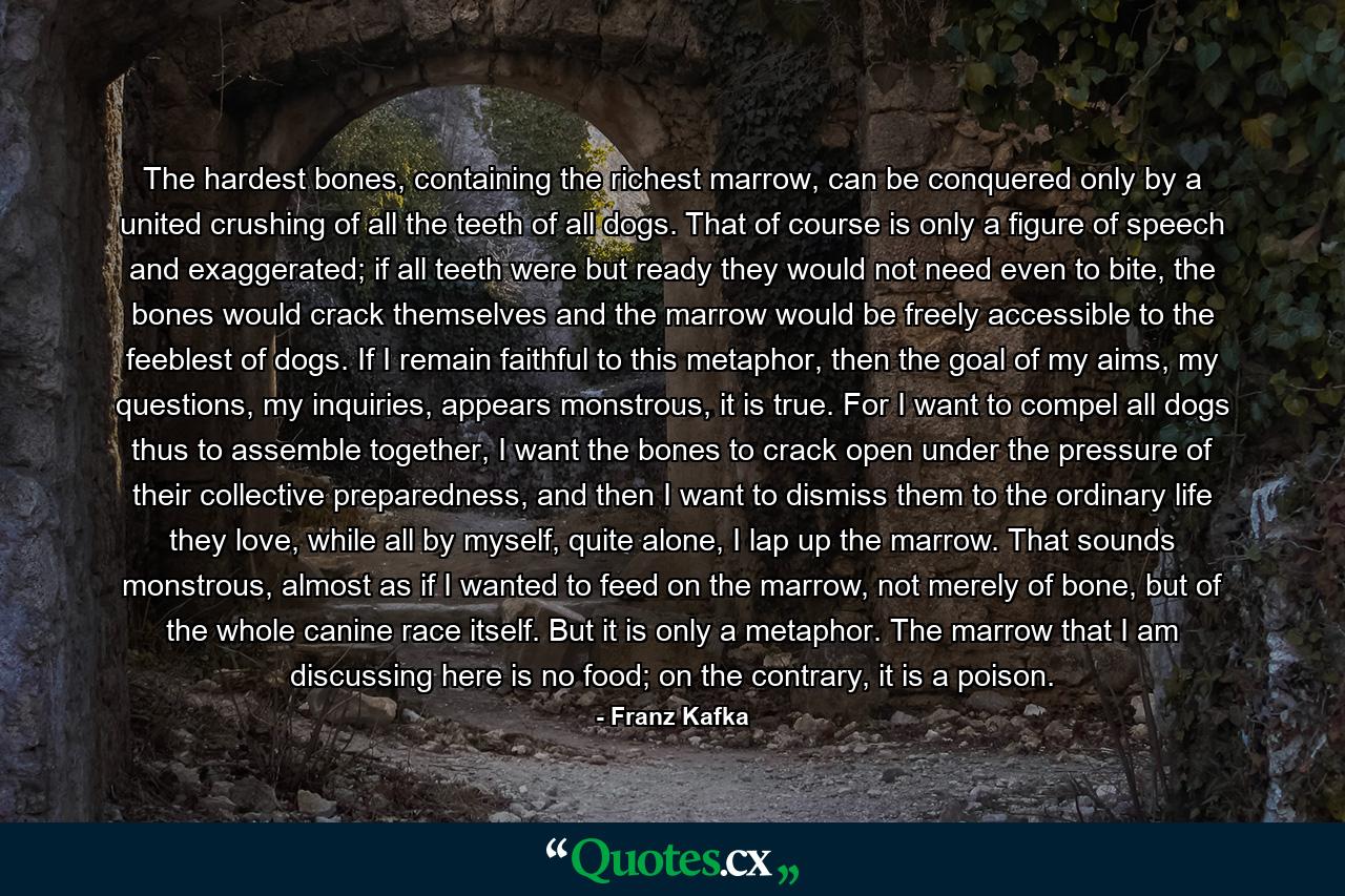 The hardest bones, containing the richest marrow, can be conquered only by a united crushing of all the teeth of all dogs. That of course is only a figure of speech and exaggerated; if all teeth were but ready they would not need even to bite, the bones would crack themselves and the marrow would be freely accessible to the feeblest of dogs. If I remain faithful to this metaphor, then the goal of my aims, my questions, my inquiries, appears monstrous, it is true. For I want to compel all dogs thus to assemble together, I want the bones to crack open under the pressure of their collective preparedness, and then I want to dismiss them to the ordinary life they love, while all by myself, quite alone, I lap up the marrow. That sounds monstrous, almost as if I wanted to feed on the marrow, not merely of bone, but of the whole canine race itself. But it is only a metaphor. The marrow that I am discussing here is no food; on the contrary, it is a poison. - Quote by Franz Kafka