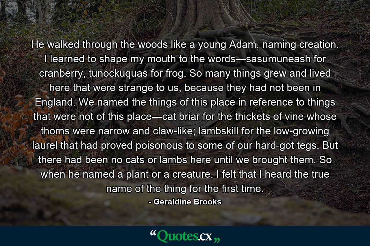 He walked through the woods like a young Adam, naming creation. I learned to shape my mouth to the words—sasumuneash for cranberry, tunockuquas for frog. So many things grew and lived here that were strange to us, because they had not been in England. We named the things of this place in reference to things that were not of this place—cat briar for the thickets of vine whose thorns were narrow and claw-like; lambskill for the low-growing laurel that had proved poisonous to some of our hard-got tegs. But there had been no cats or lambs here until we brought them. So when he named a plant or a creature, I felt that I heard the true name of the thing for the first time. - Quote by Geraldine Brooks