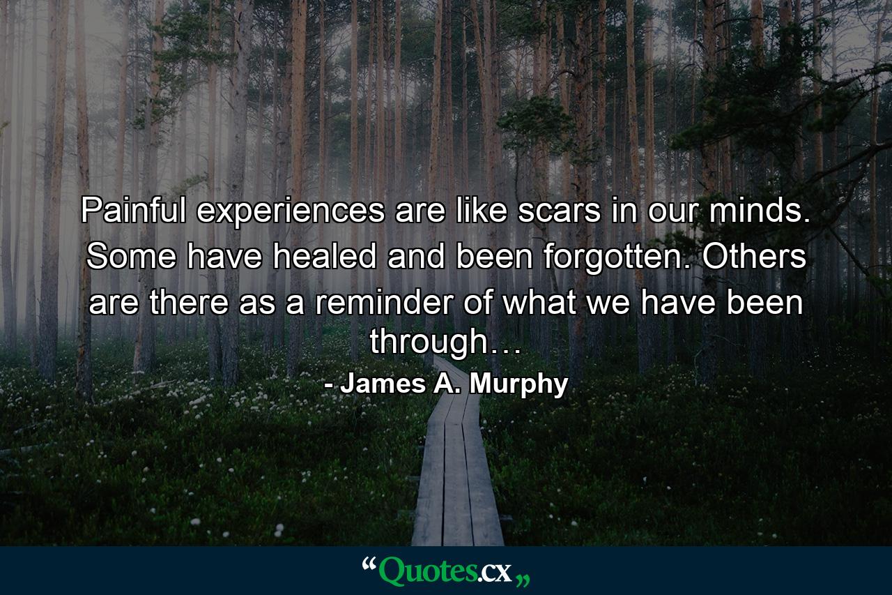 Painful experiences are like scars in our minds. Some have healed and been forgotten. Others are there as a reminder of what we have been through… - Quote by James A. Murphy