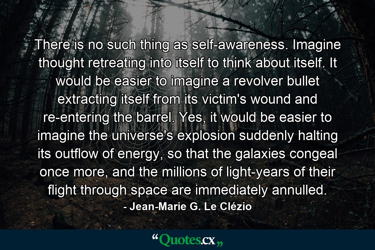 There is no such thing as self-awareness. Imagine thought retreating into itself to think about itself. It would be easier to imagine a revolver bullet extracting itself from its victim's wound and re-entering the barrel. Yes, it would be easier to imagine the universe's explosion suddenly halting its outflow of energy, so that the galaxies congeal once more, and the millions of light-years of their flight through space are immediately annulled. - Quote by Jean-Marie G. Le Clézio