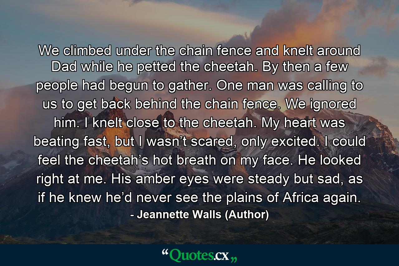 We climbed under the chain fence and knelt around Dad while he petted the cheetah. By then a few people had begun to gather. One man was calling to us to get back behind the chain fence. We ignored him. I knelt close to the cheetah. My heart was beating fast, but I wasn’t scared, only excited. I could feel the cheetah’s hot breath on my face. He looked right at me. His amber eyes were steady but sad, as if he knew he’d never see the plains of Africa again. - Quote by Jeannette Walls (Author)