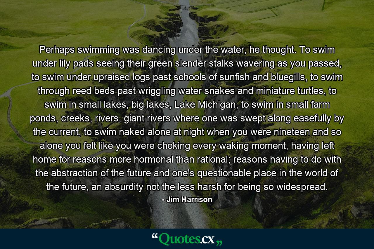 Perhaps swimming was dancing under the water, he thought. To swim under lily pads seeing their green slender stalks wavering as you passed, to swim under upraised logs past schools of sunfish and bluegills, to swim through reed beds past wriggling water snakes and miniature turtles, to swim in small lakes, big lakes, Lake Michigan, to swim in small farm ponds, creeks, rivers, giant rivers where one was swept along easefully by the current, to swim naked alone at night when you were nineteen and so alone you felt like you were choking every waking moment, having left home for reasons more hormonal than rational; reasons having to do with the abstraction of the future and one's questionable place in the world of the future, an absurdity not the less harsh for being so widespread. - Quote by Jim Harrison