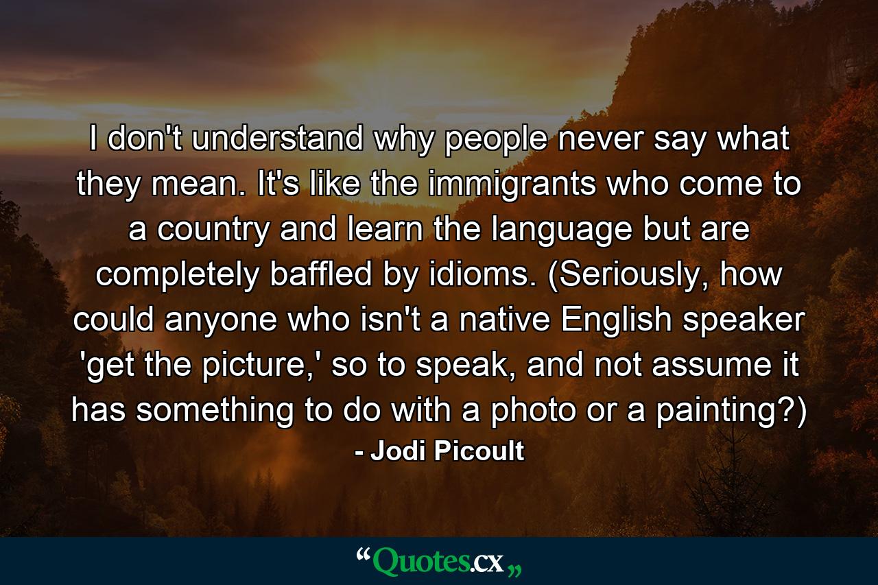 I don't understand why people never say what they mean. It's like the immigrants who come to a country and learn the language but are completely baffled by idioms. (Seriously, how could anyone who isn't a native English speaker 'get the picture,' so to speak, and not assume it has something to do with a photo or a painting?) - Quote by Jodi Picoult