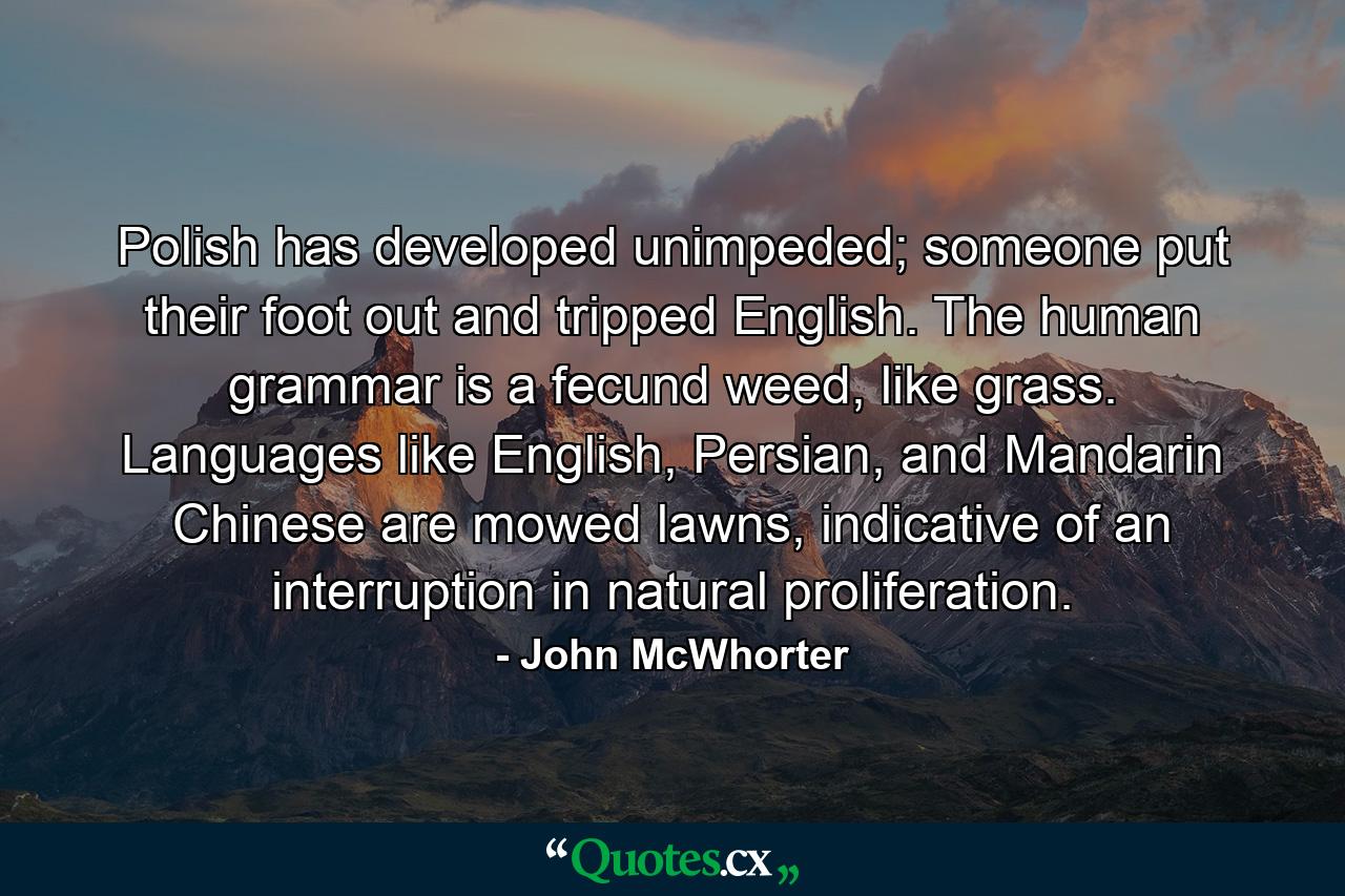 Polish has developed unimpeded; someone put their foot out and tripped English. The human grammar is a fecund weed, like grass. Languages like English, Persian, and Mandarin Chinese are mowed lawns, indicative of an interruption in natural proliferation. - Quote by John McWhorter